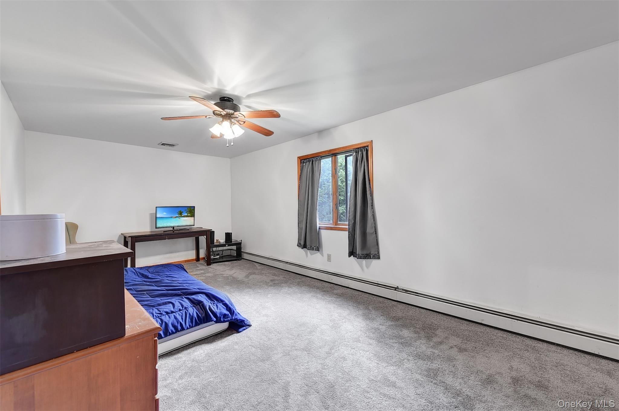 243 Hill Road Property Photo 39