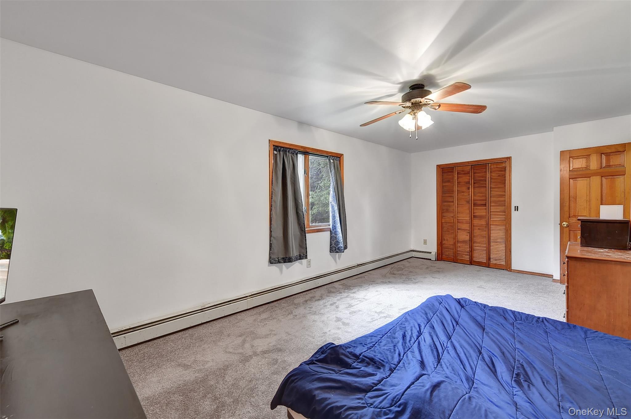 243 Hill Road Property Photo 41