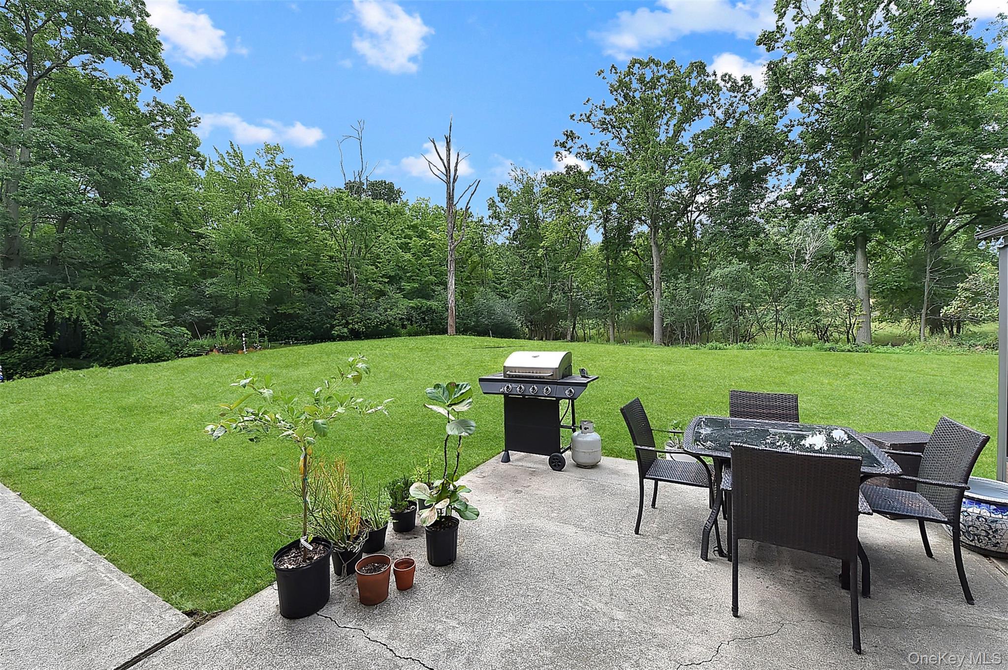 243 Hill Road Property Photo 45