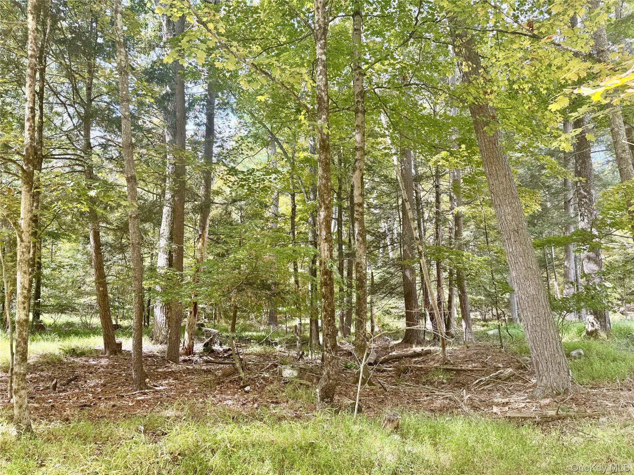 5 Trails Property Photo 1