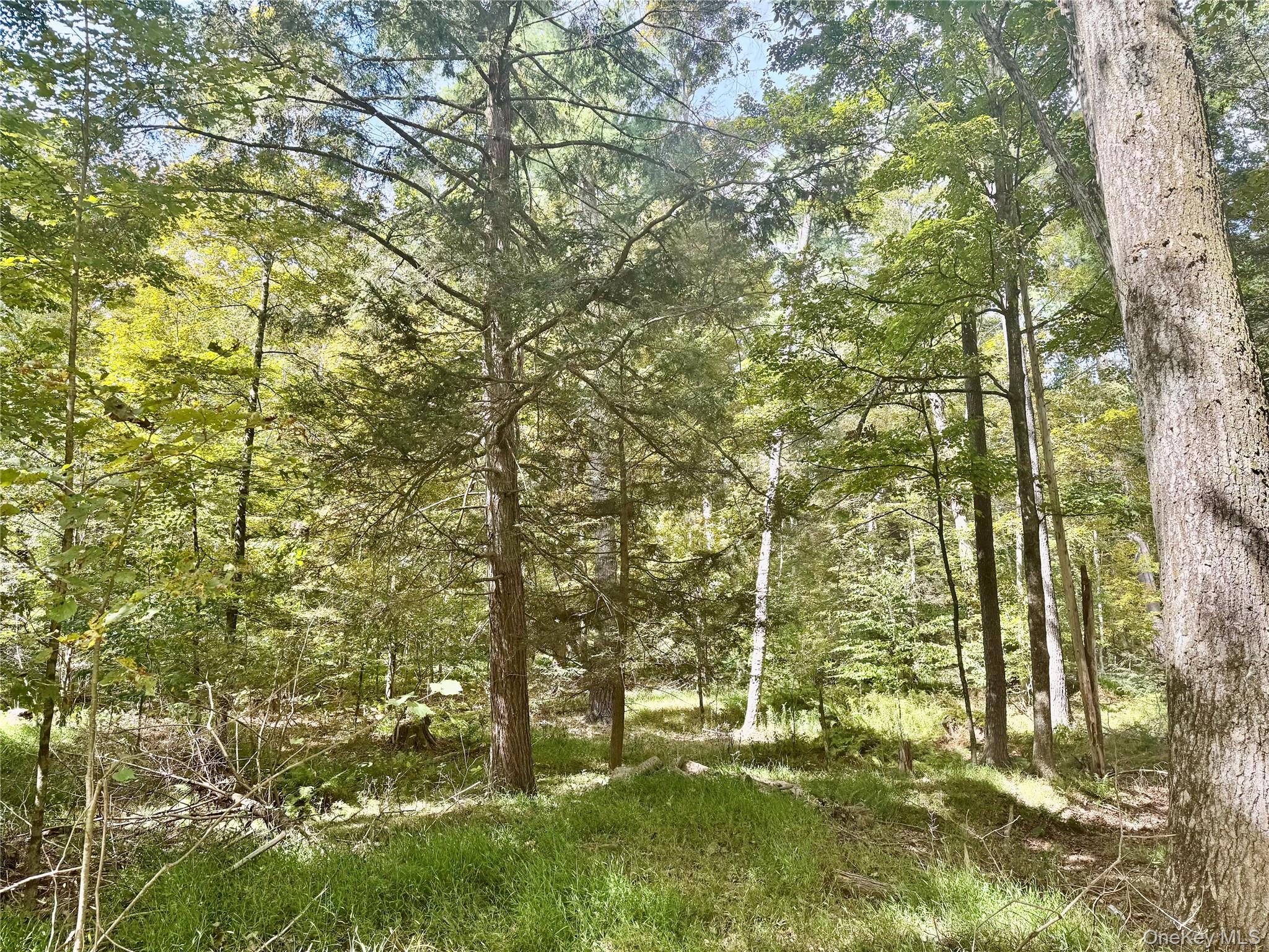 5 Trails Property Photo 2