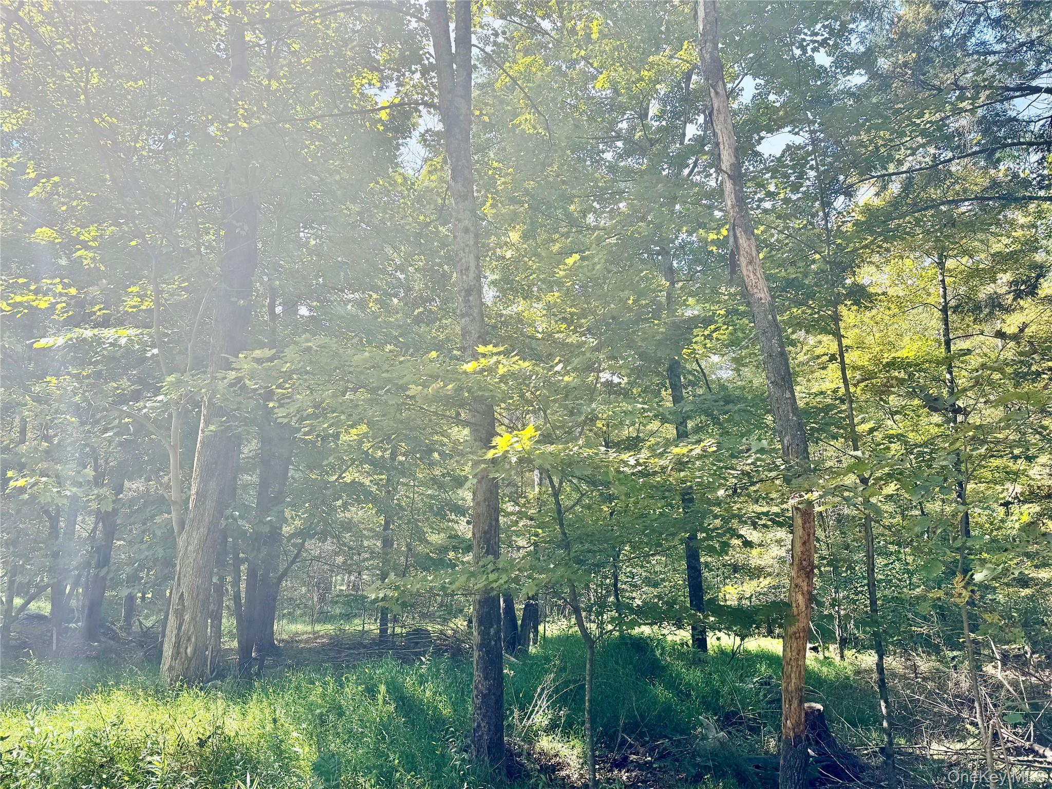 5 Trails Property Photo 3