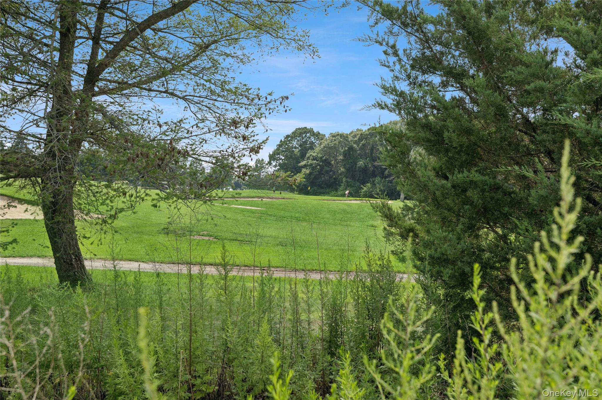 537 Hartmanns Farm Road Property Photo 32