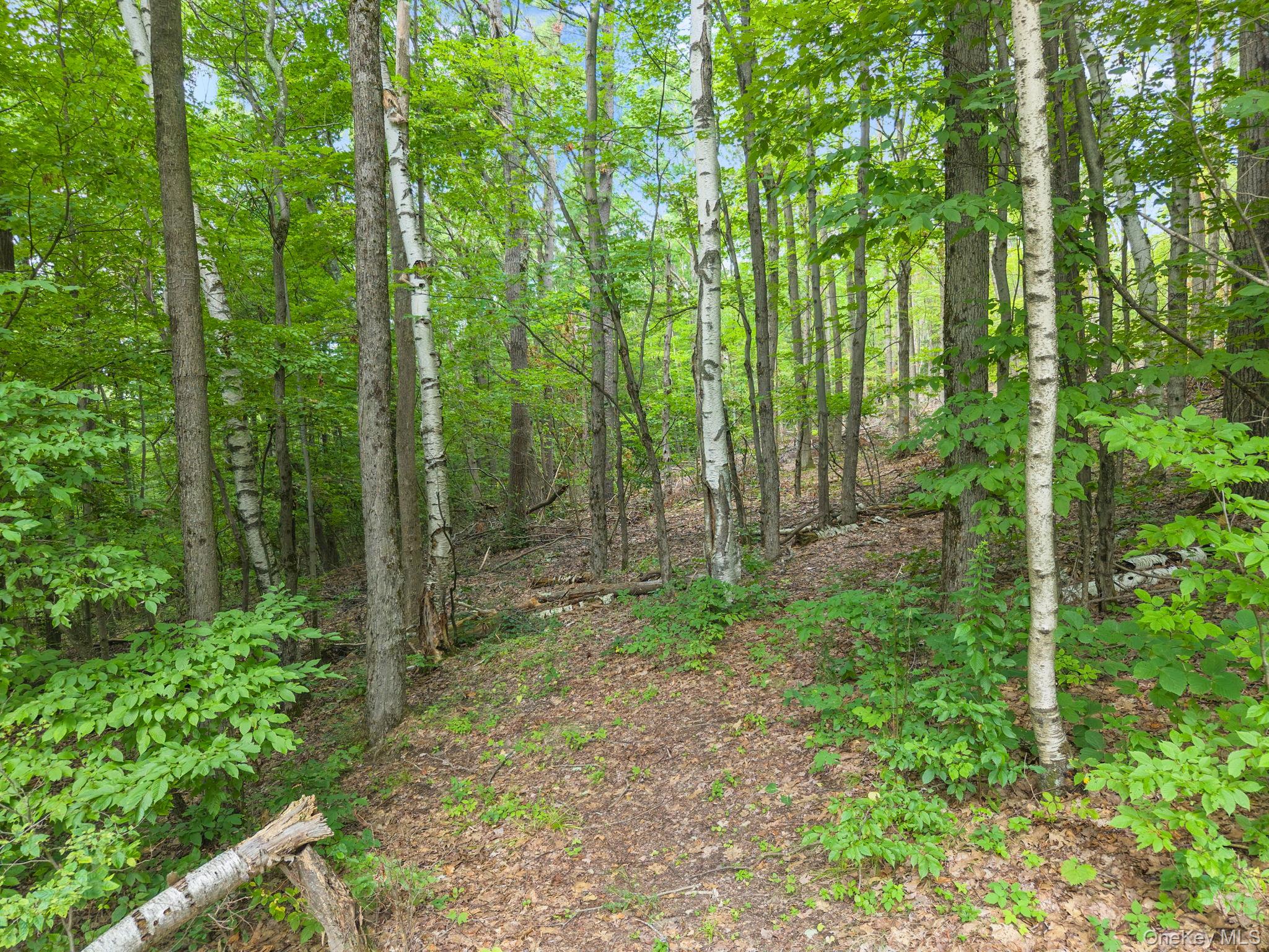 567 Cotton Hill Rd Middleburgh Ny Property Photo 42