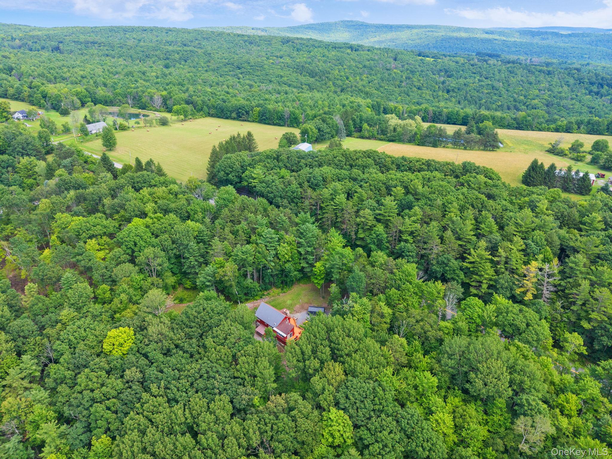 567 Cotton Hill Rd Middleburgh Ny Property Photo 49