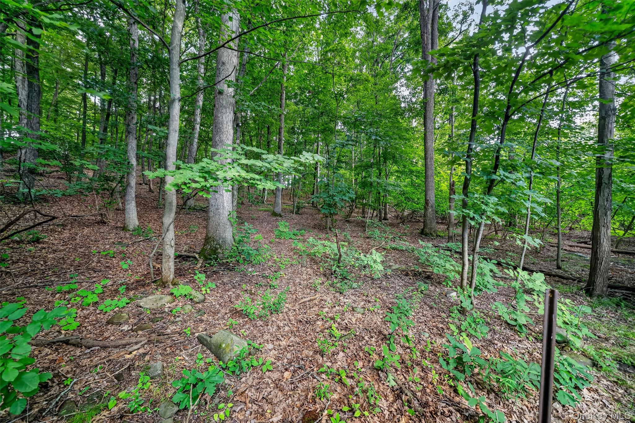 368 Old Dutch Hollow Road Property Photo 35
