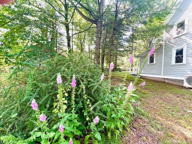 3 Rennenberg Road Property Photo 20