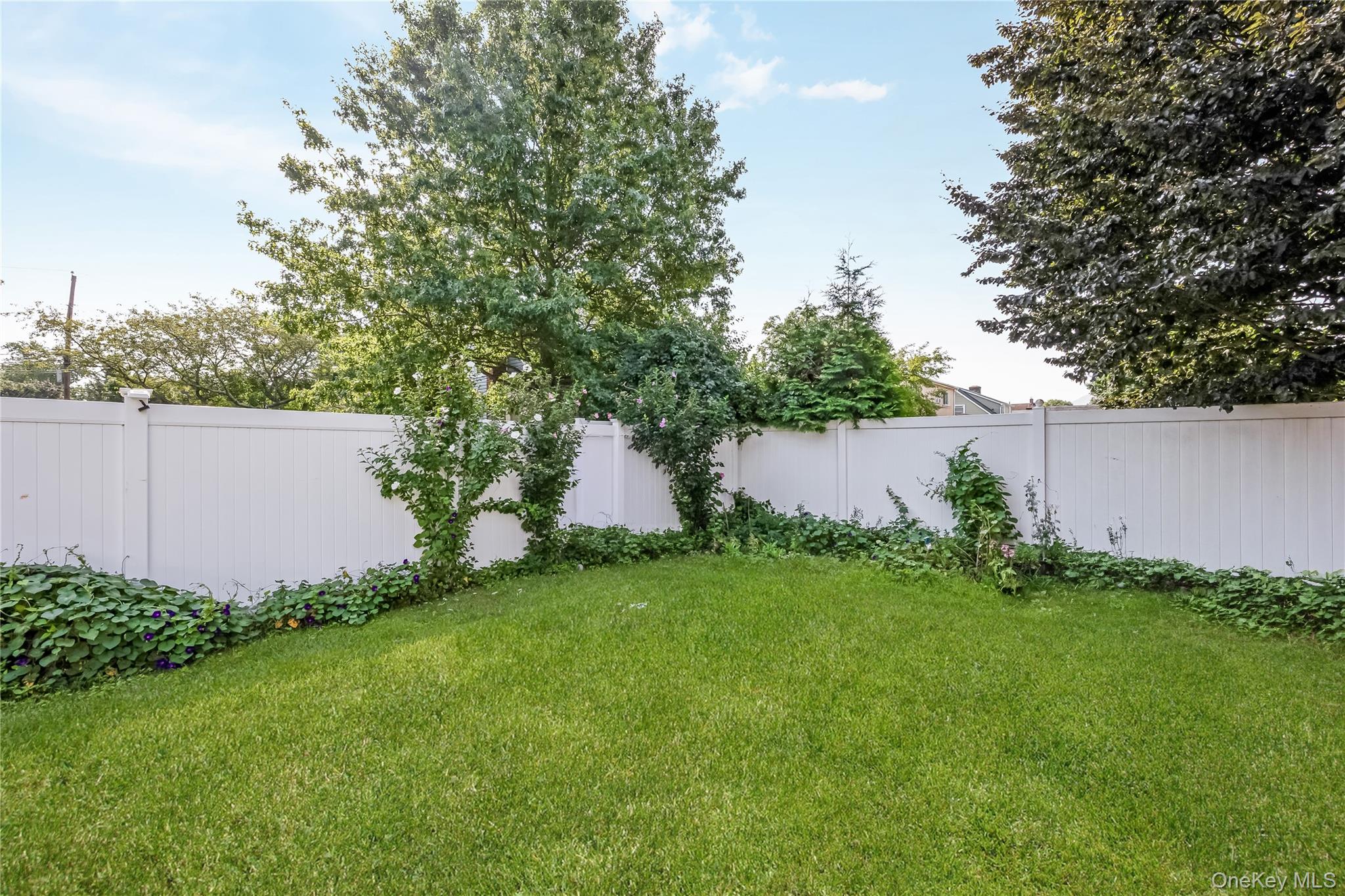 442 Cedar Street Property Photo 26
