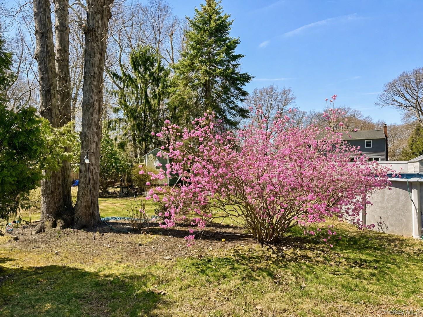 40 Glenridge Avenue Property Photo 29