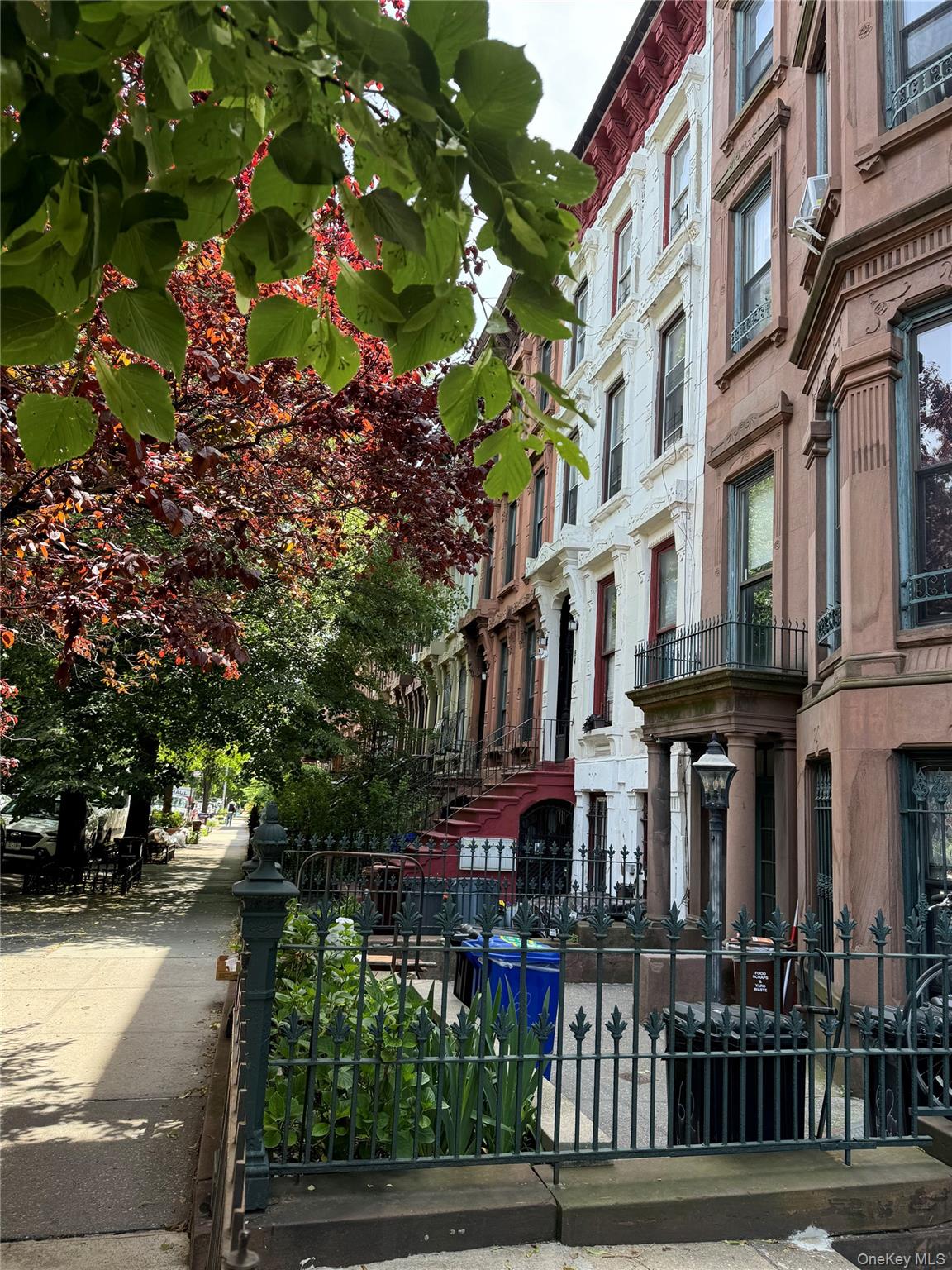 64 Hancock Street Property Photo 6