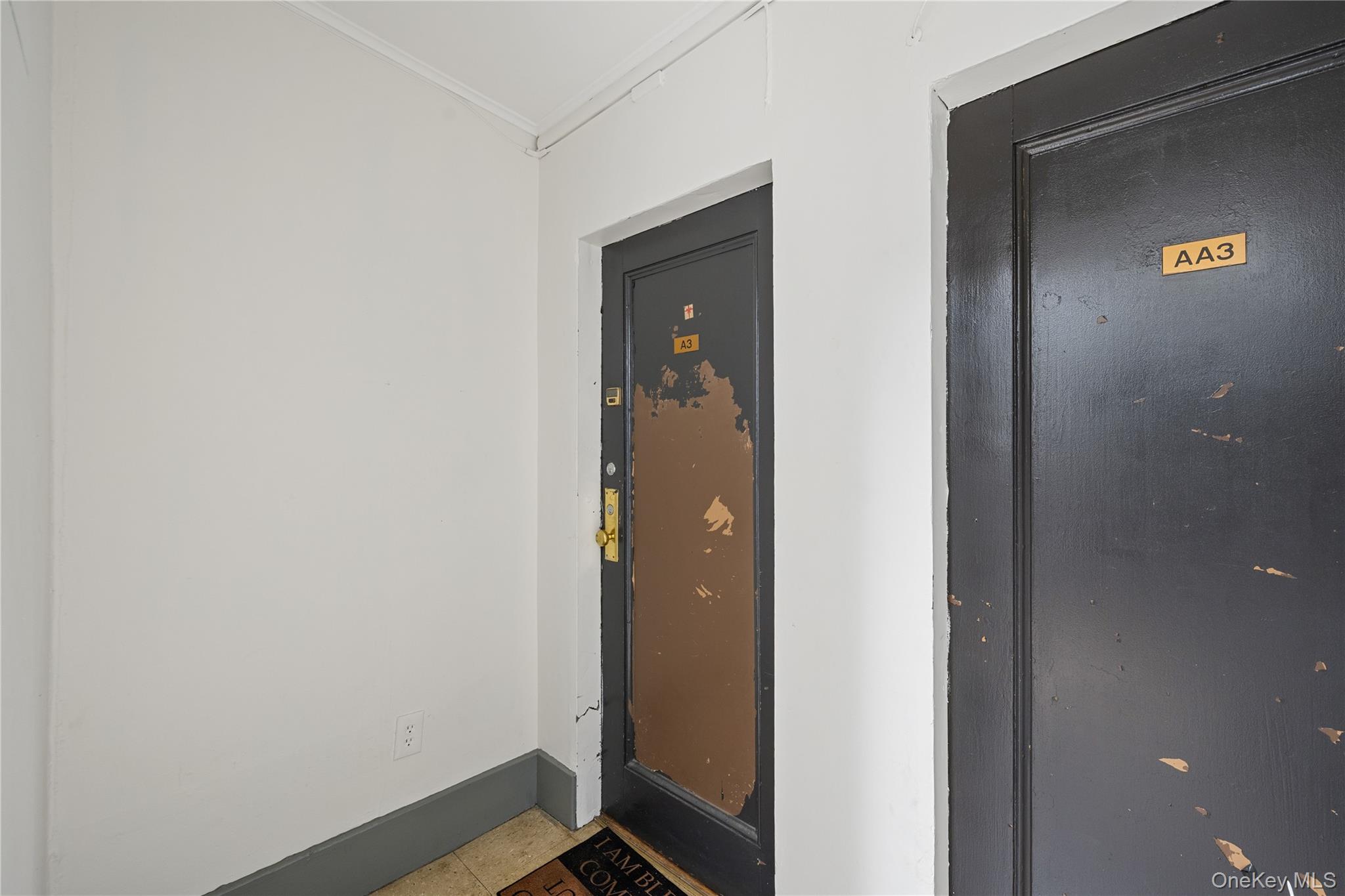 240 Halstead Avenue A3 Property Photo 12