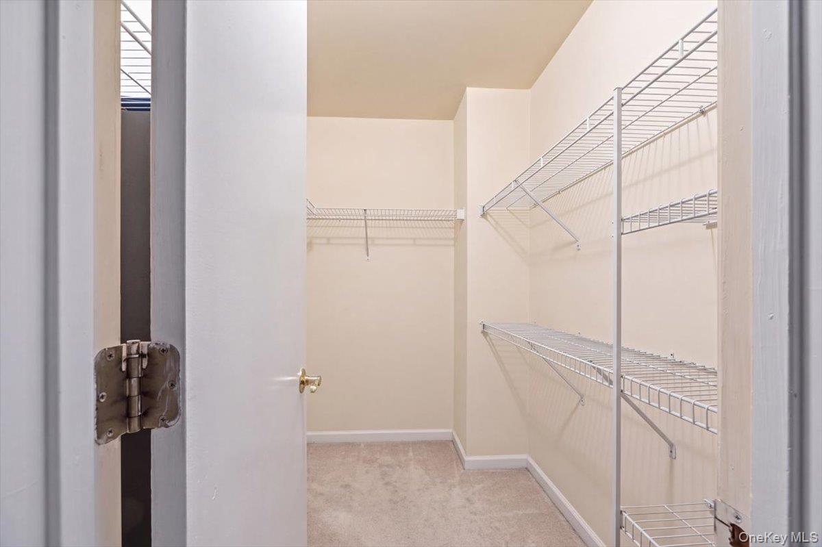 41 Aldo Court Property Photo 20