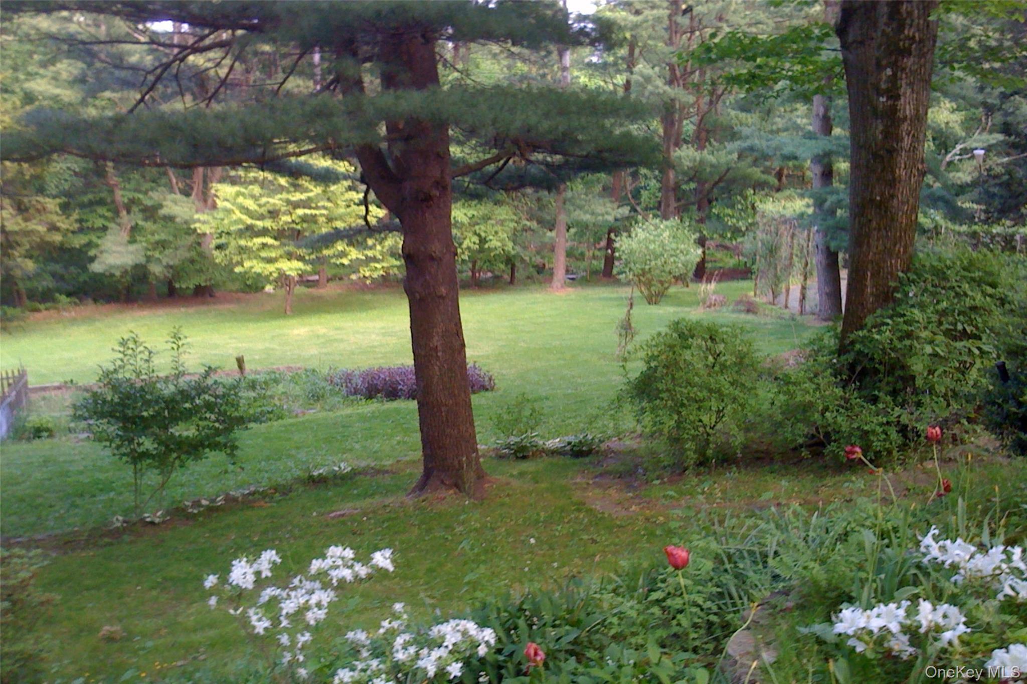 35 Saxon Woods Road Property Photo 16