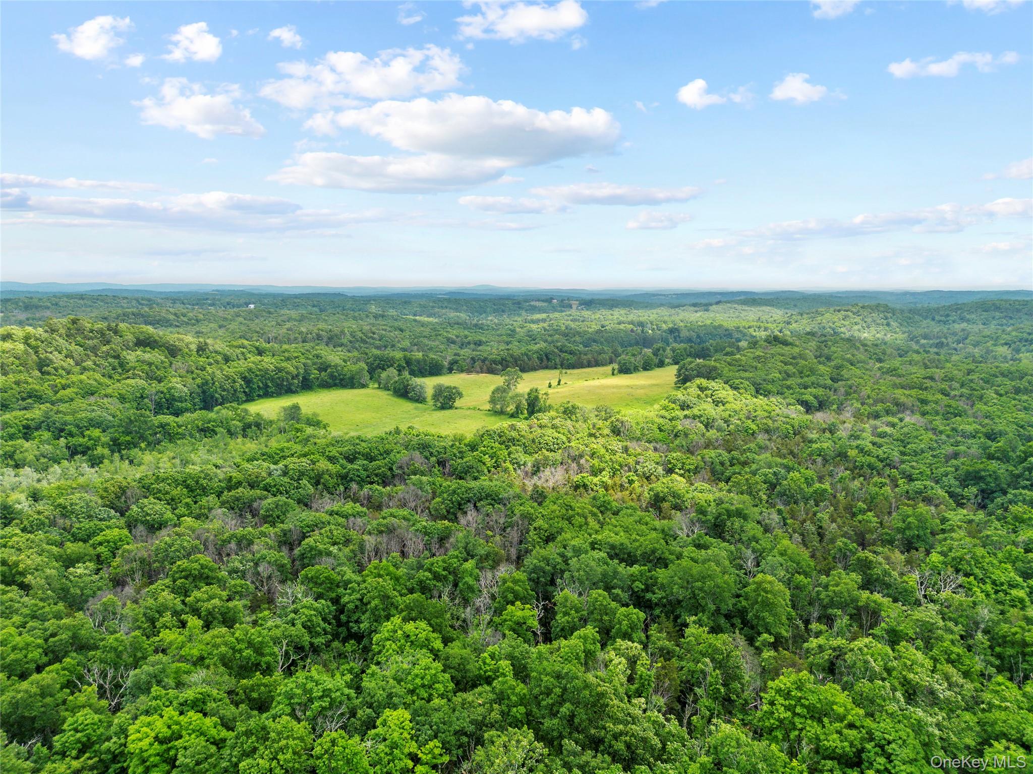 148 N Creek Road Property Photo 34