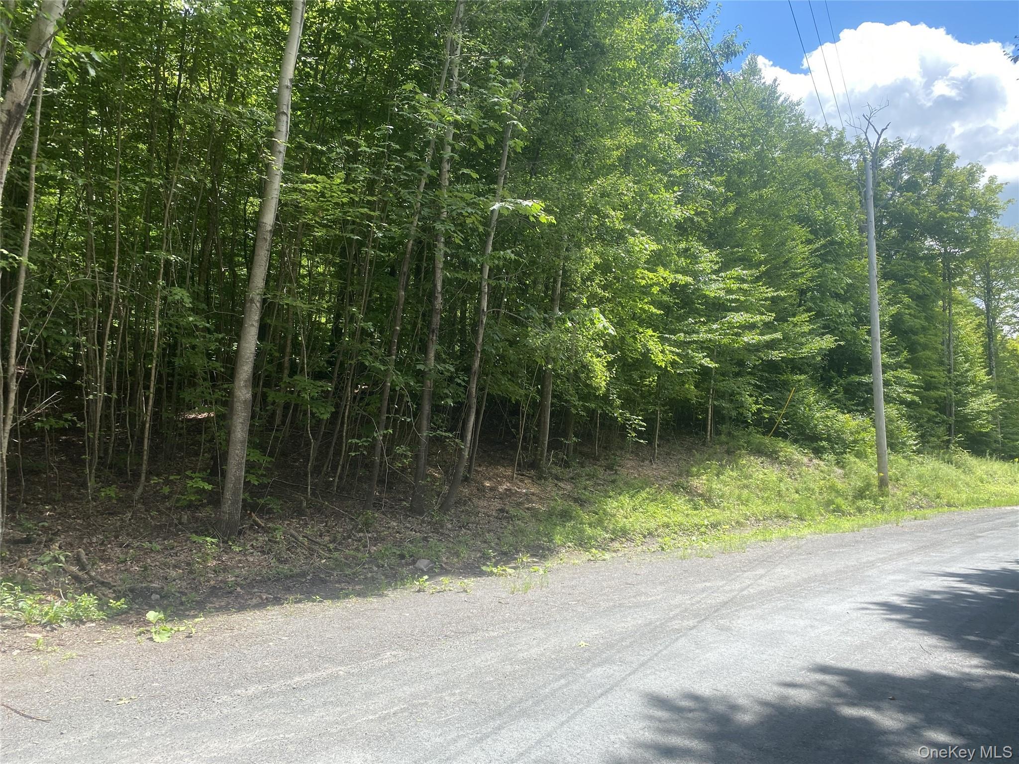 140 Arbor Road Property Photo 2
