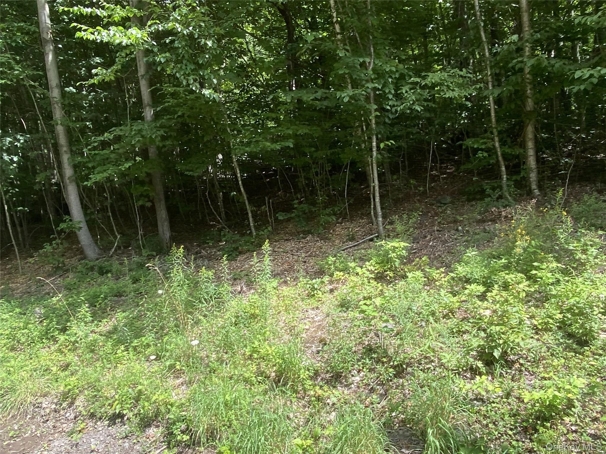 140 Arbor Road Property Photo 3