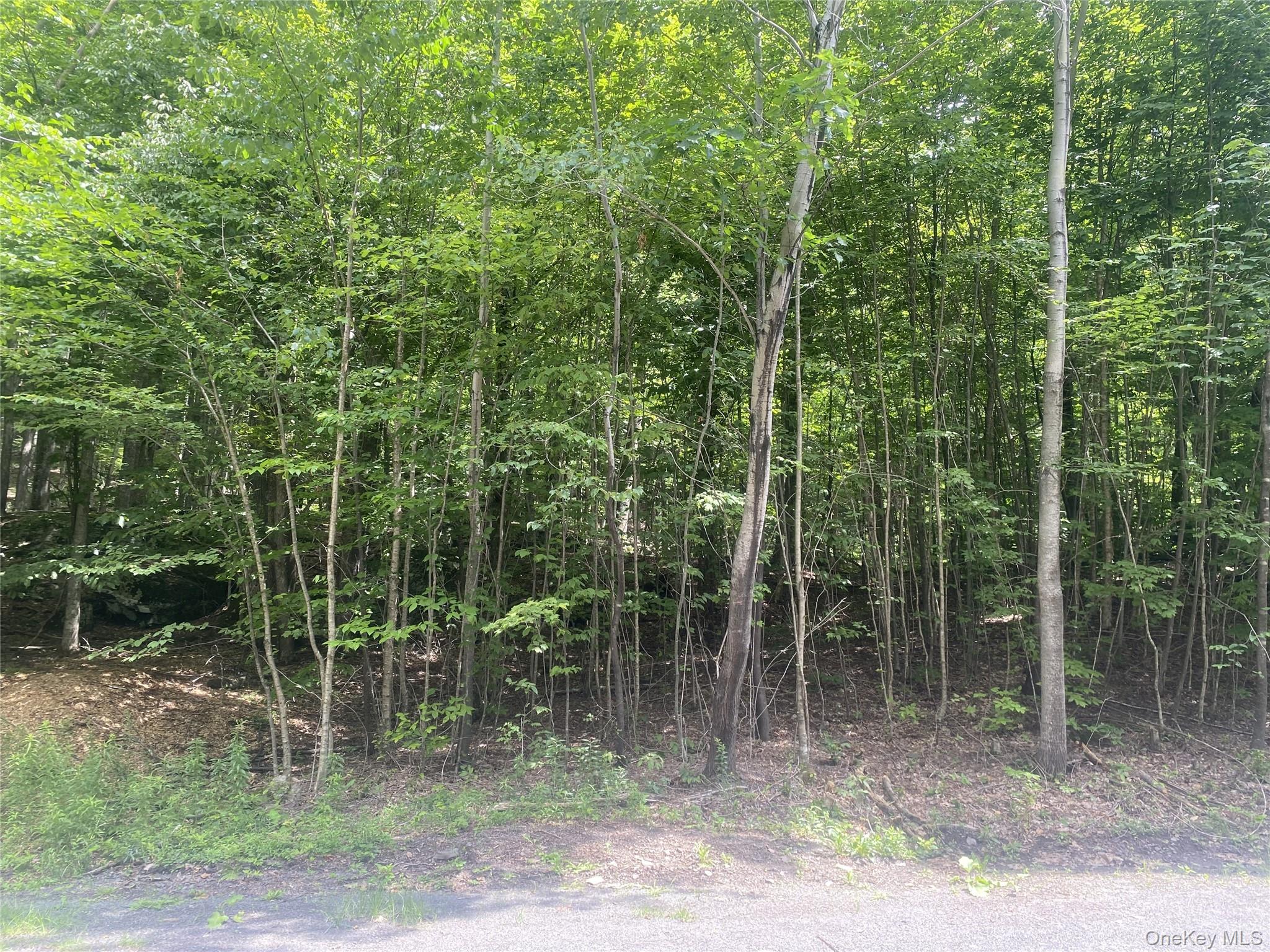 140 Arbor Road Property Photo 4