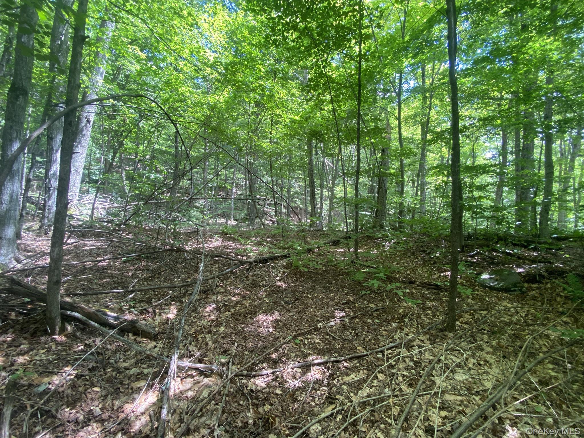 140 Arbor Road Property Photo 7