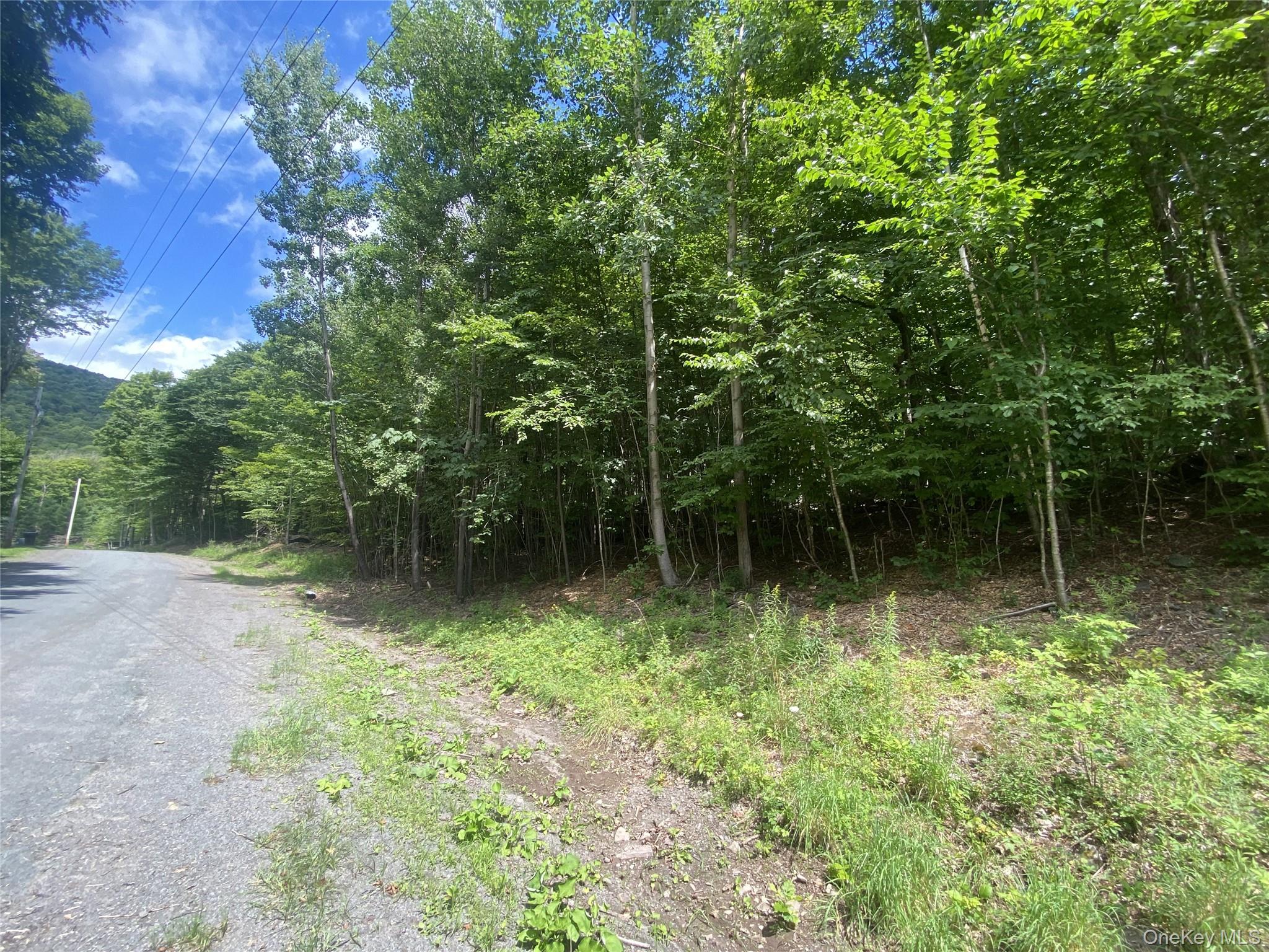 140 Arbor Road Property Photo 8