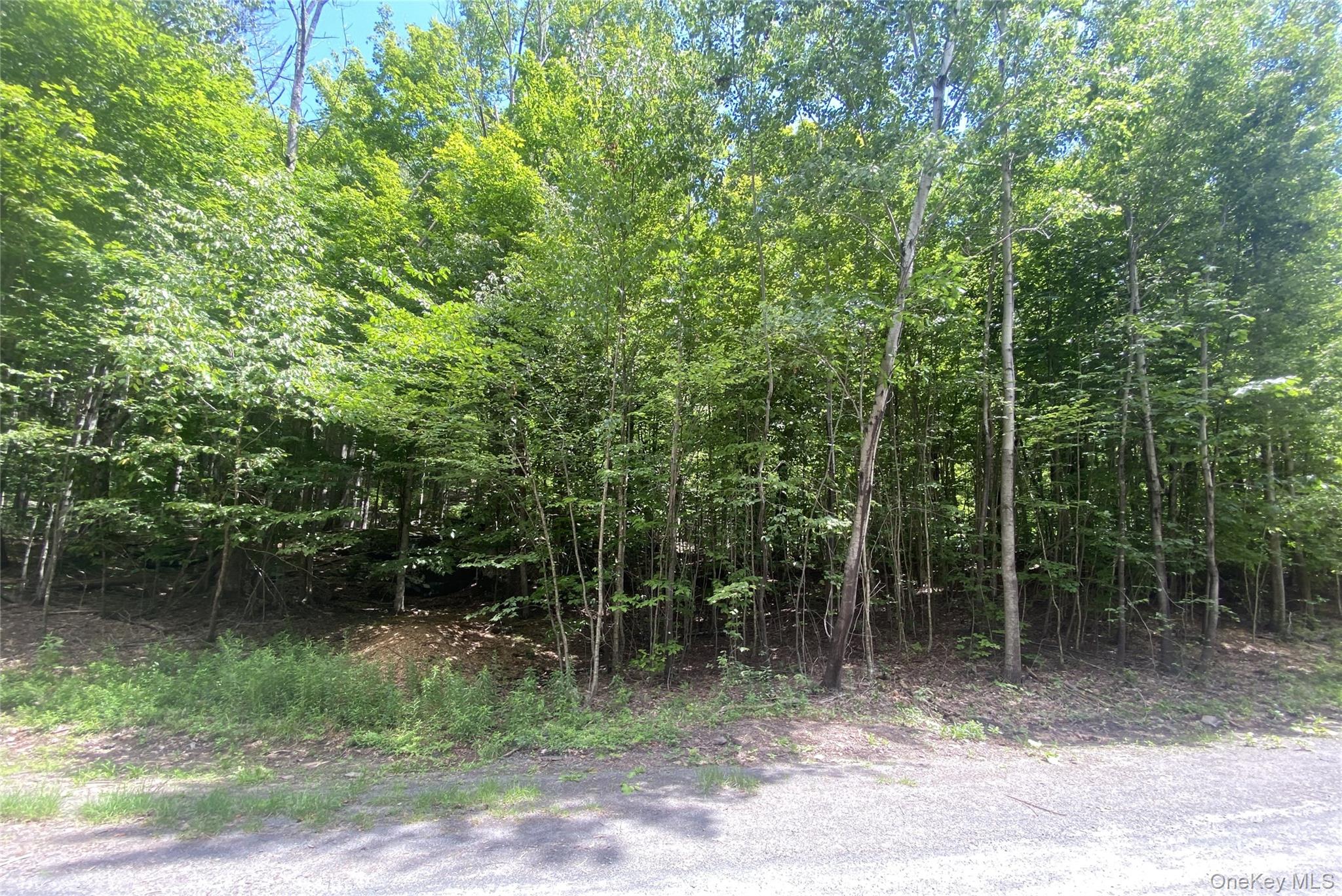140 Arbor Road Property Photo 9