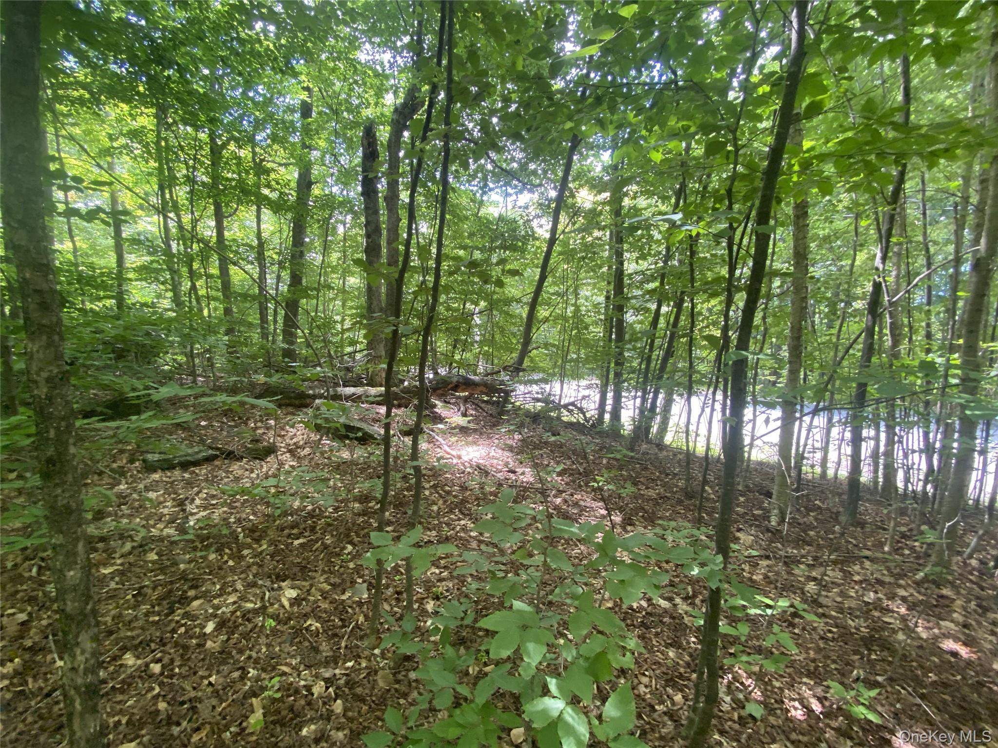 140 Arbor Road Property Photo 12