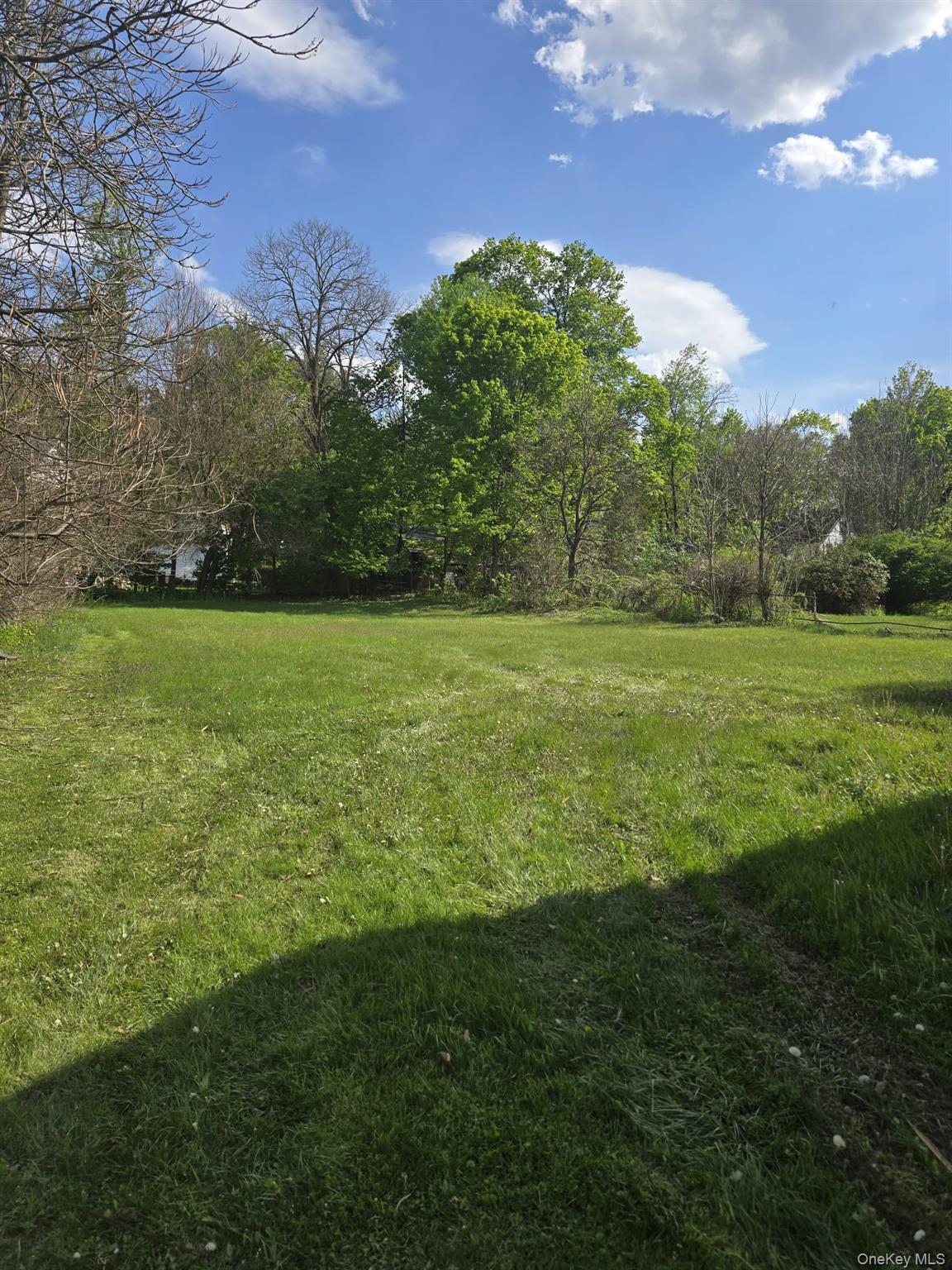 6 Broadhead Street Property Photo 15