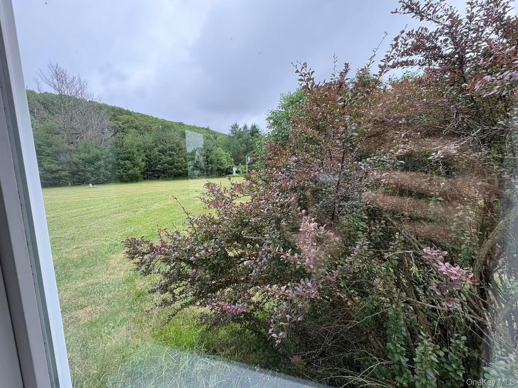 12 Pine Drive Property Photo 5