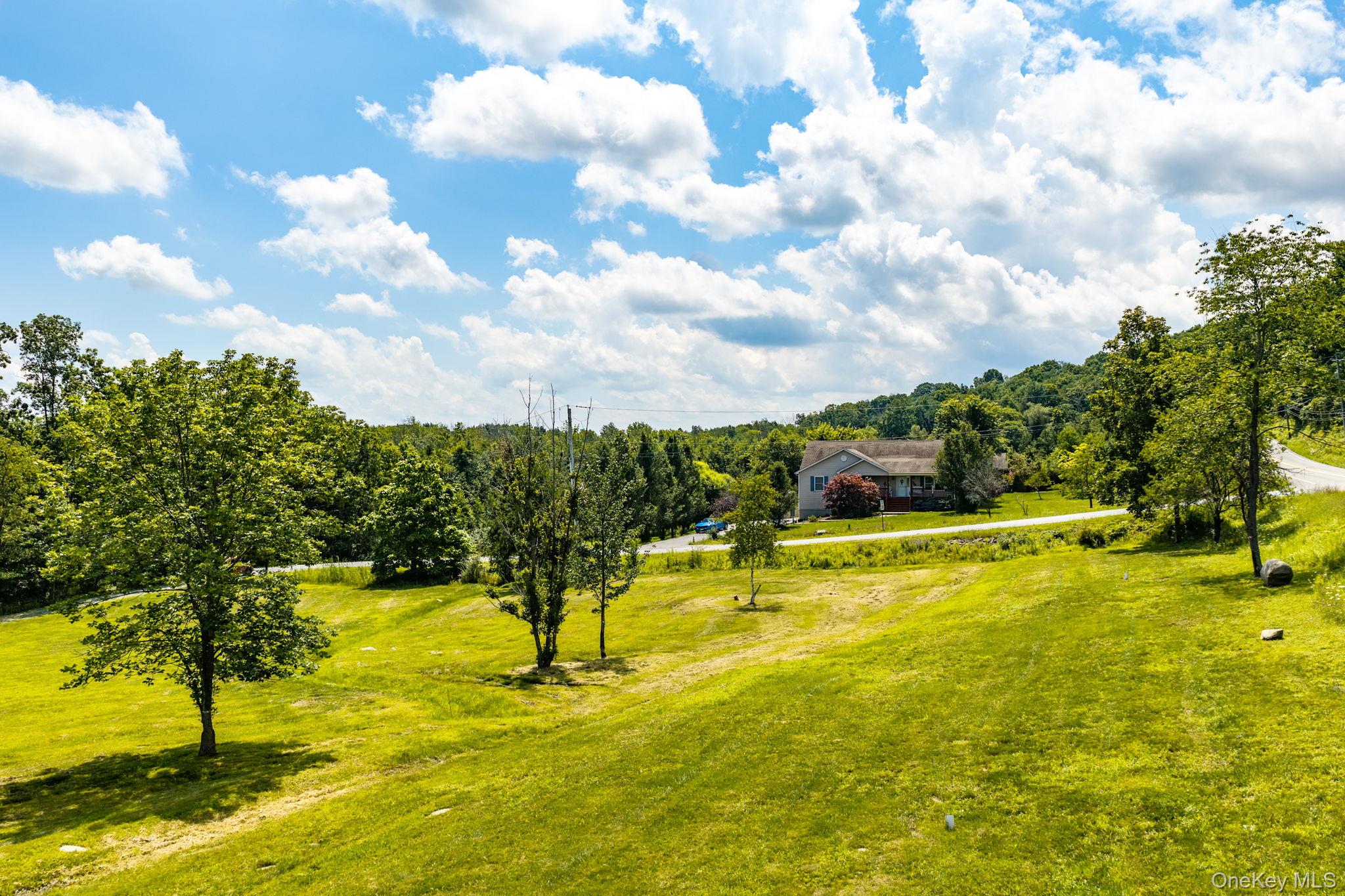 236 Springbrook Road Property Photo 40