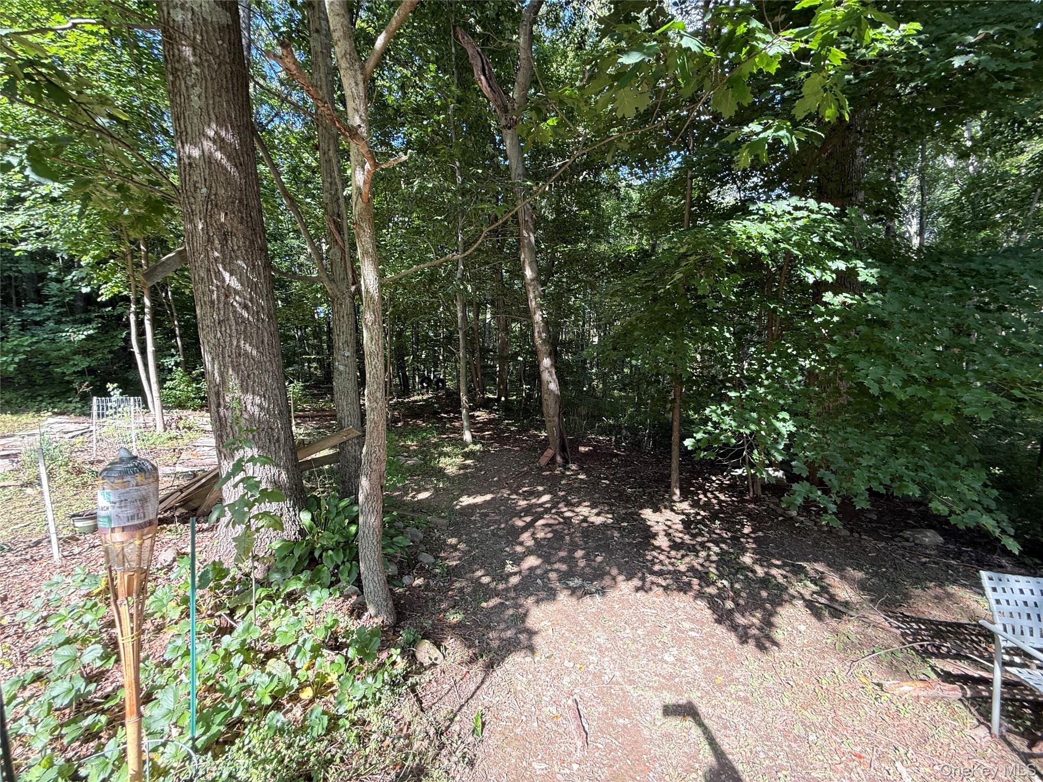39 Depew Park Property Photo 29