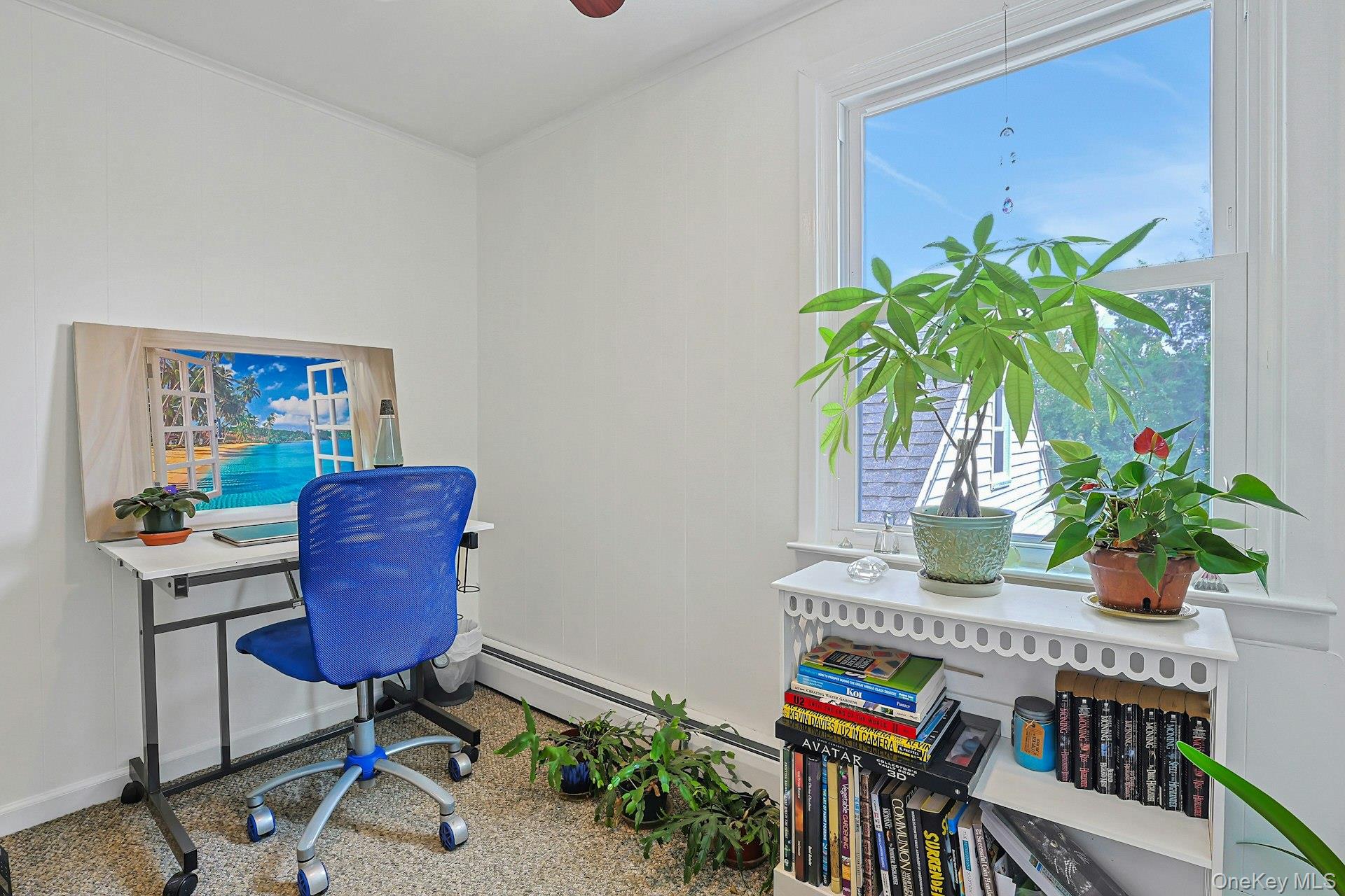 157 Whitman Road Property Photo 17