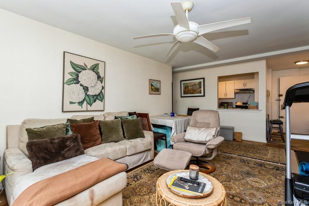 25 Franklin Avenue 2a Property Photo 7