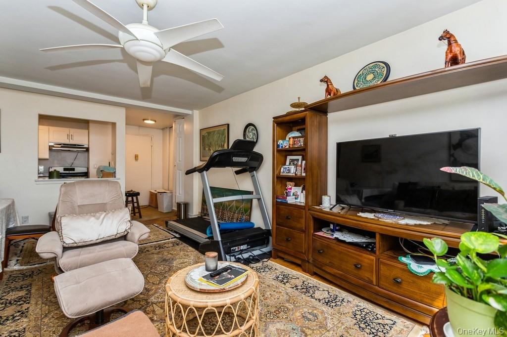 25 Franklin Avenue 2a Property Photo 8