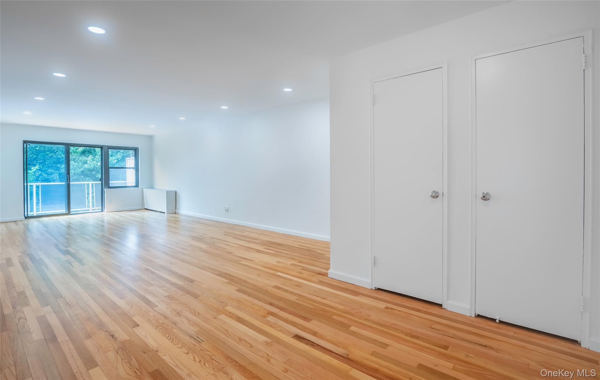 20 Canterbury Road 3a Property Photo 9