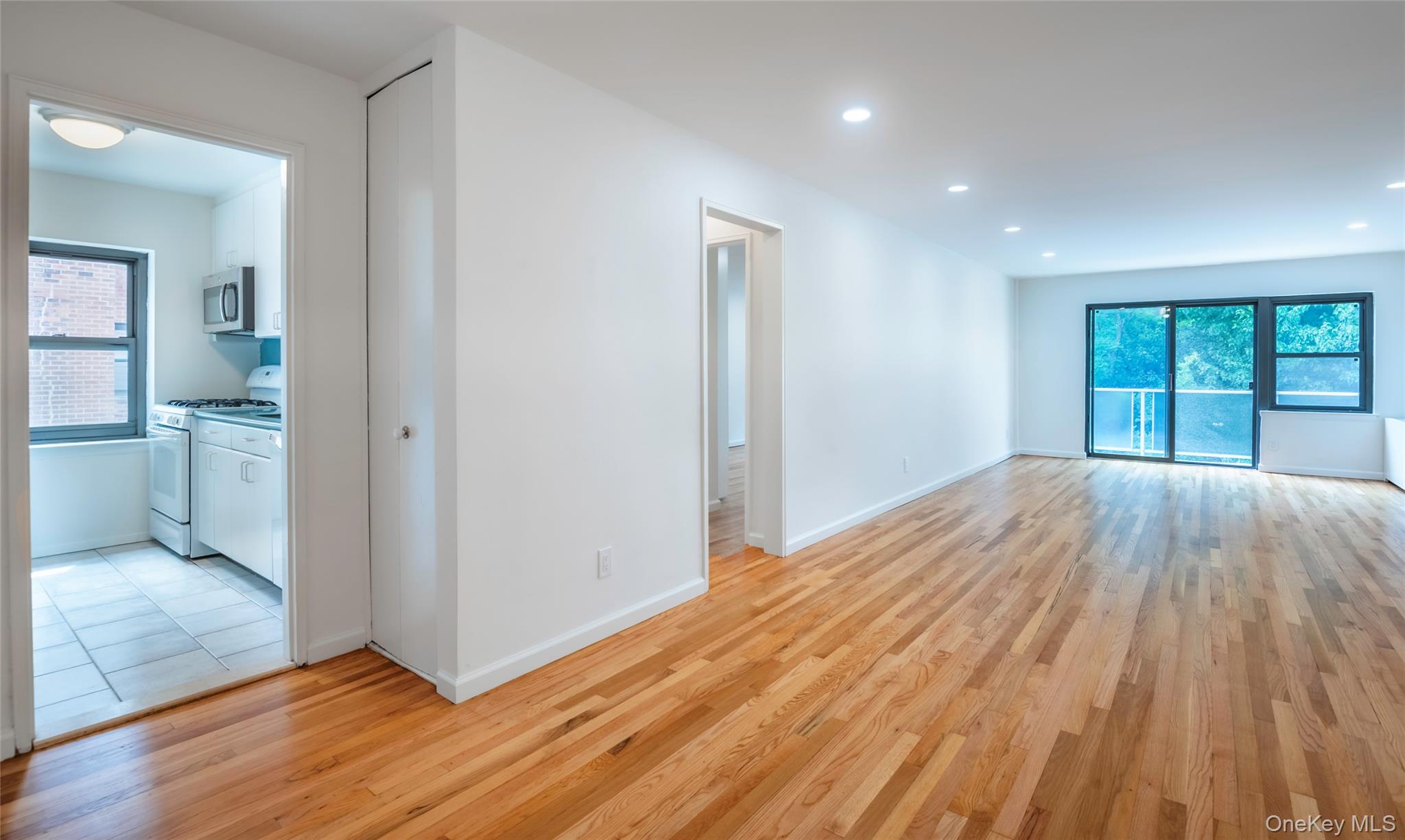 20 Canterbury Road 3a Property Photo 10