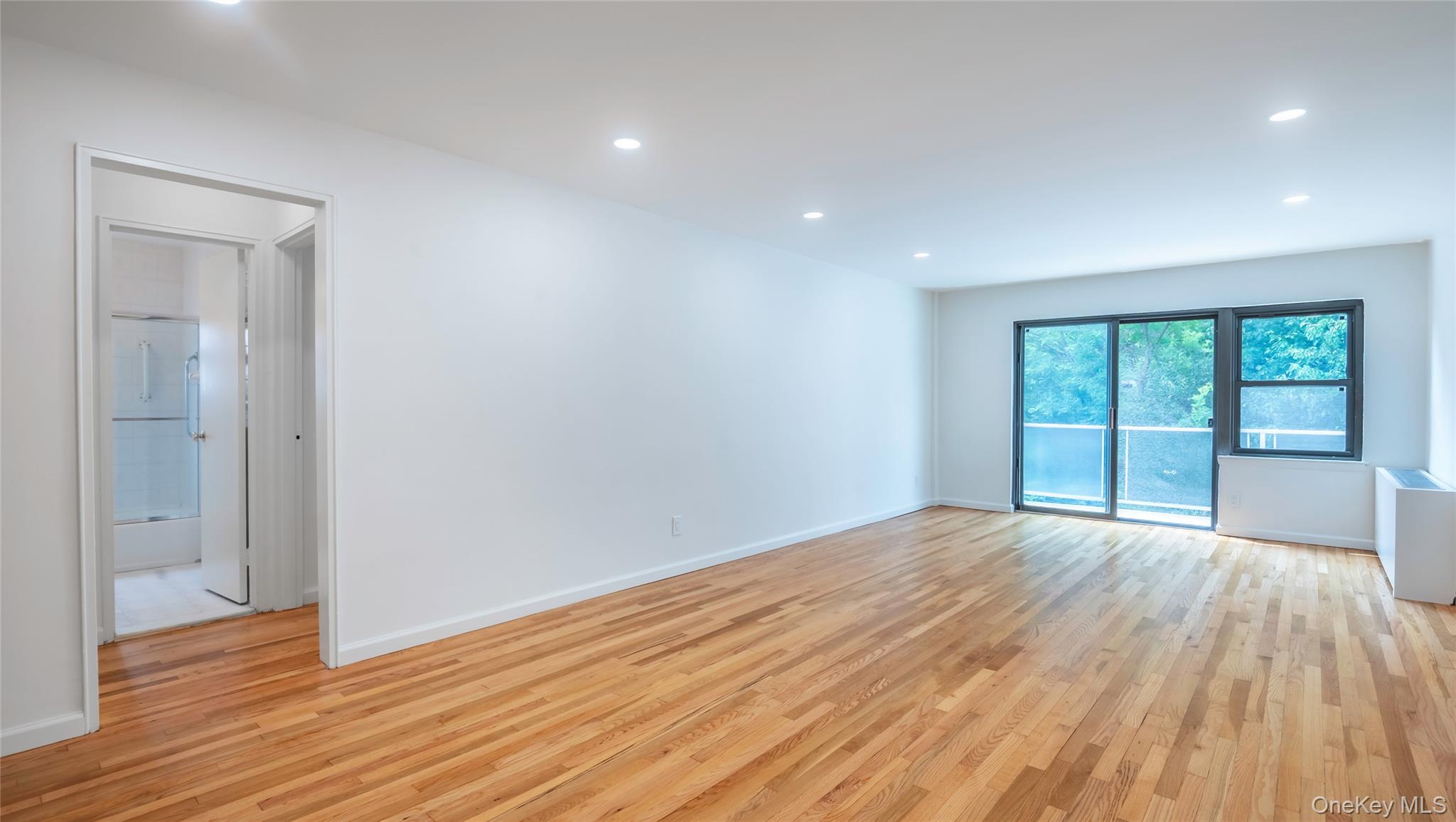 20 Canterbury Road 3a Property Photo 11