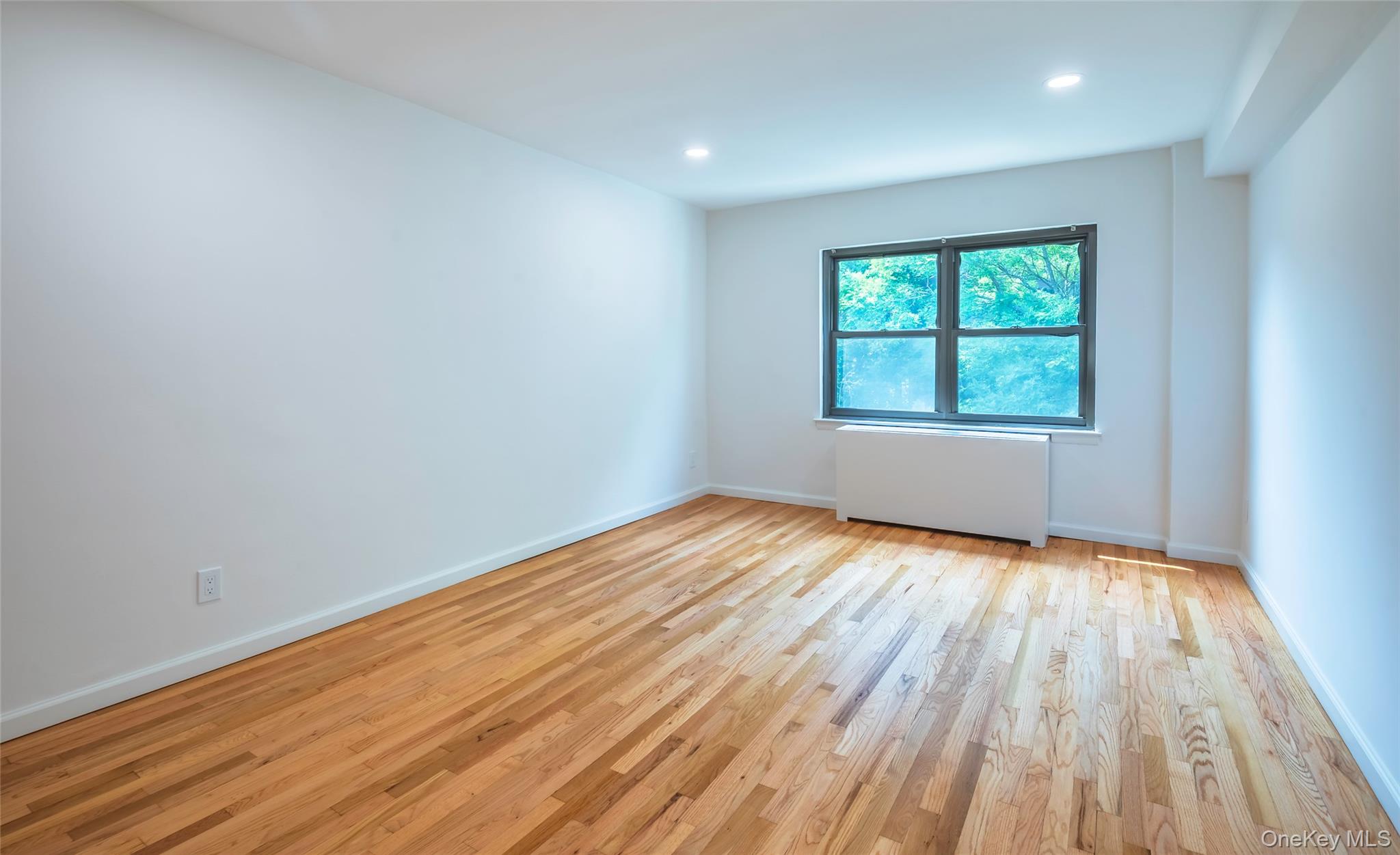20 Canterbury Road 3a Property Photo 19
