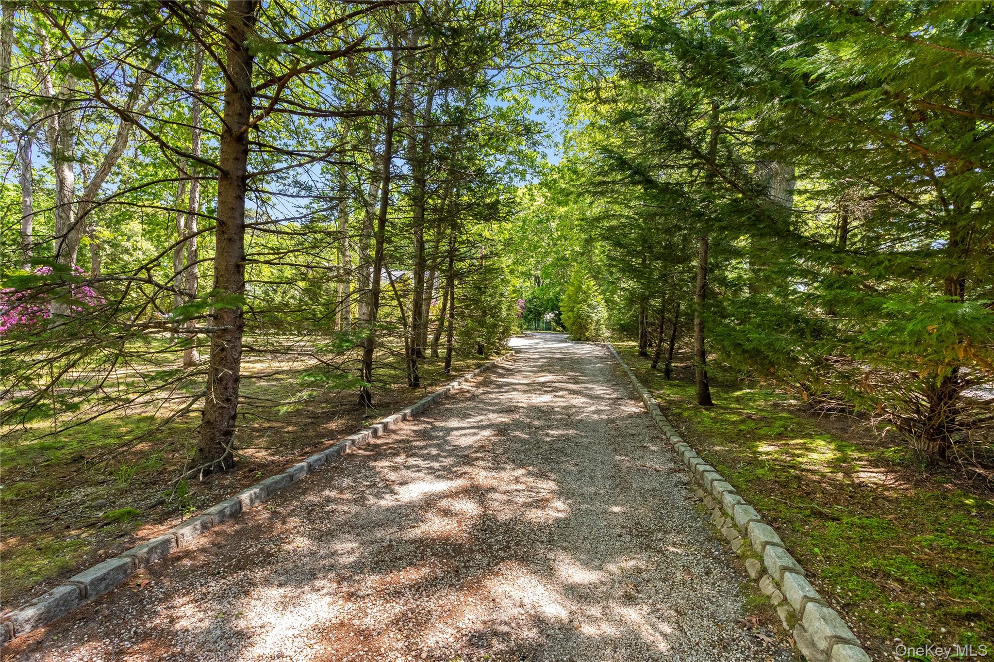 6 Strathmore Court Property Photo 3
