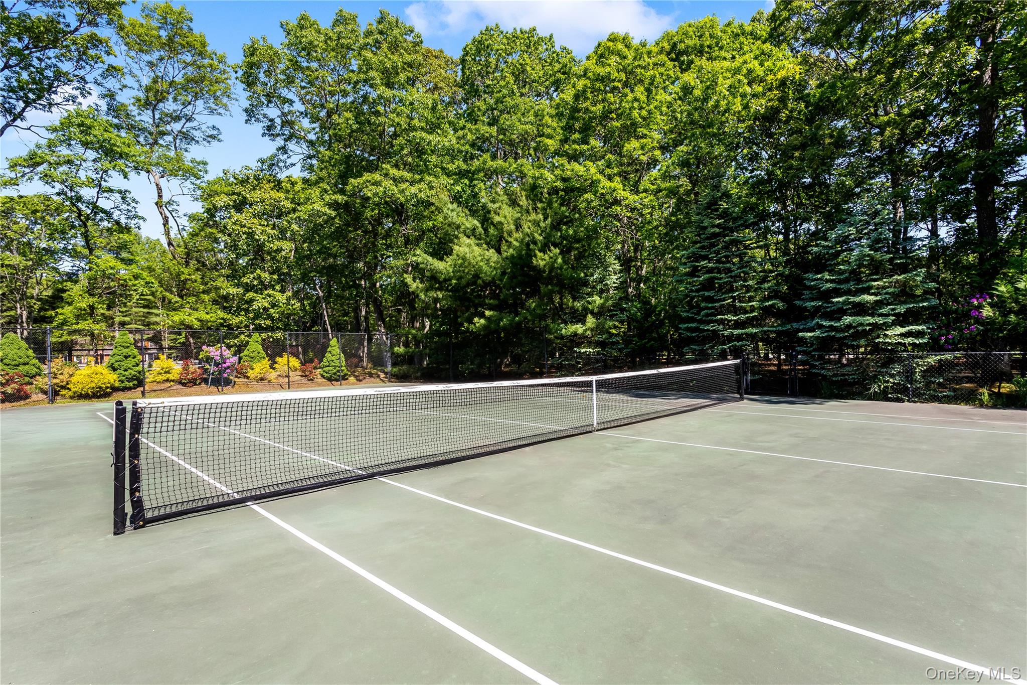 6 Strathmore Court Property Photo 19