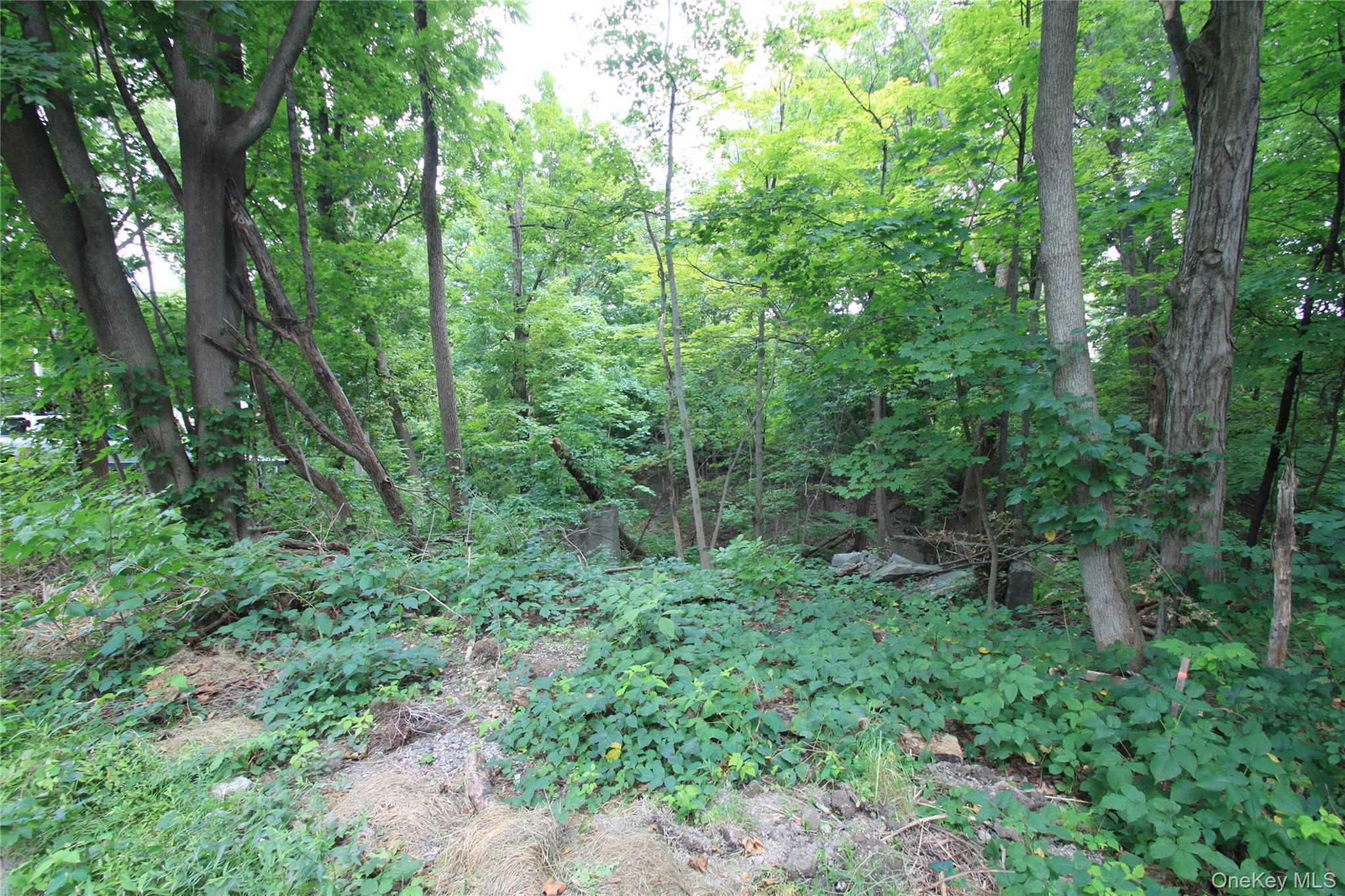 31-33 Spring Street Property Photo 1