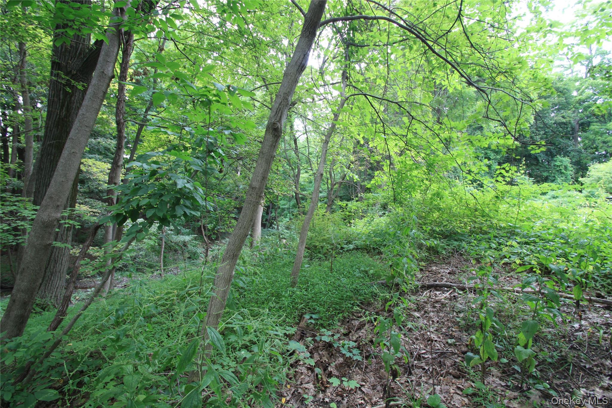 31-33 Spring Street Property Photo 2