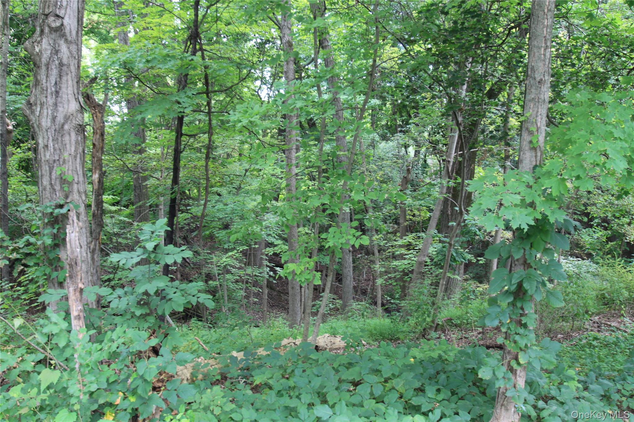 31-33 Spring Street Property Photo 7