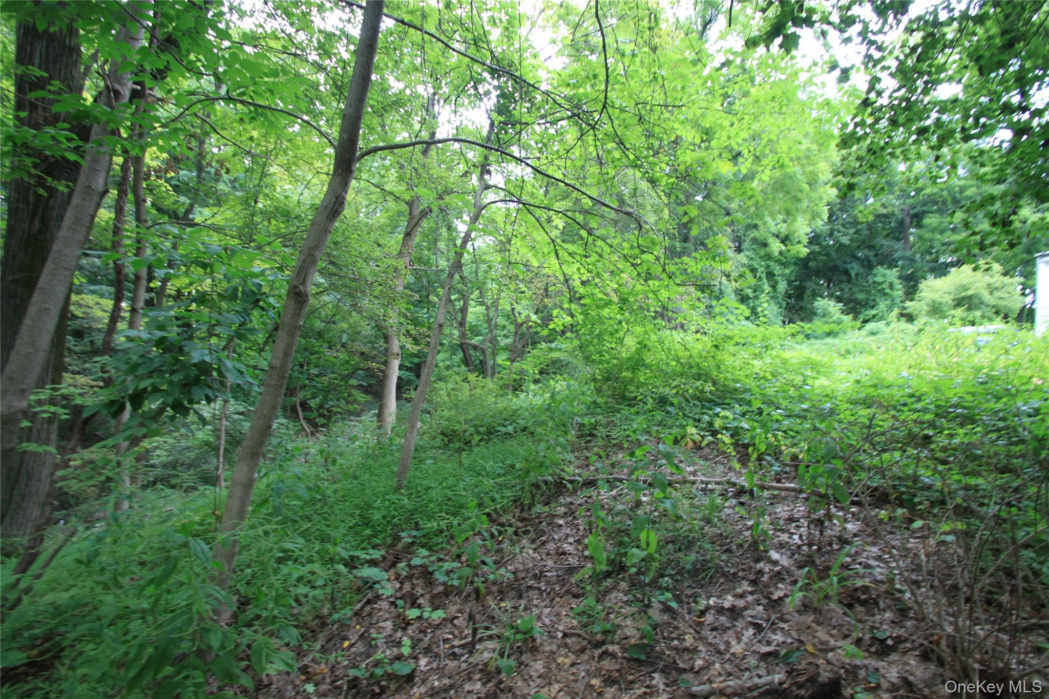 31-33 Spring Street Property Photo 8