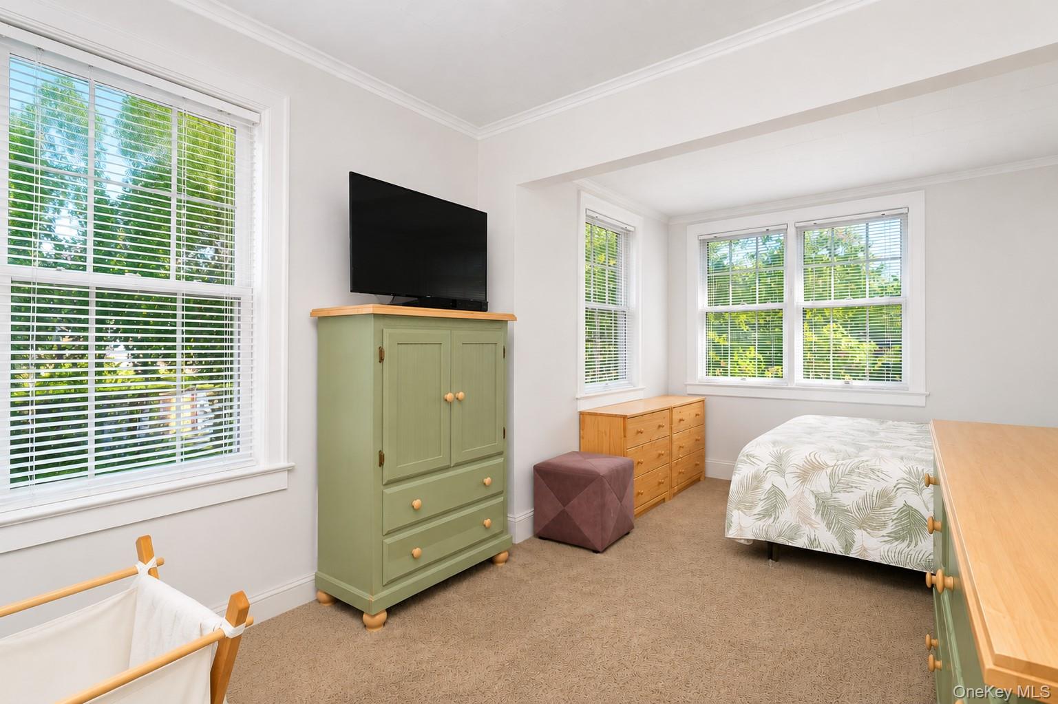 11 Osborn Avenue Property Photo 19