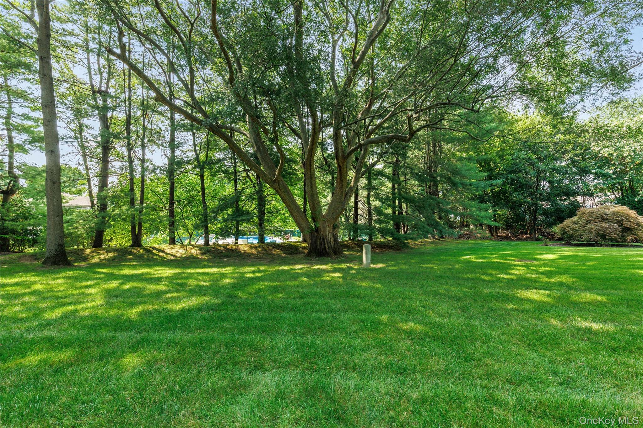 64 Talcott Road Property Photo 31