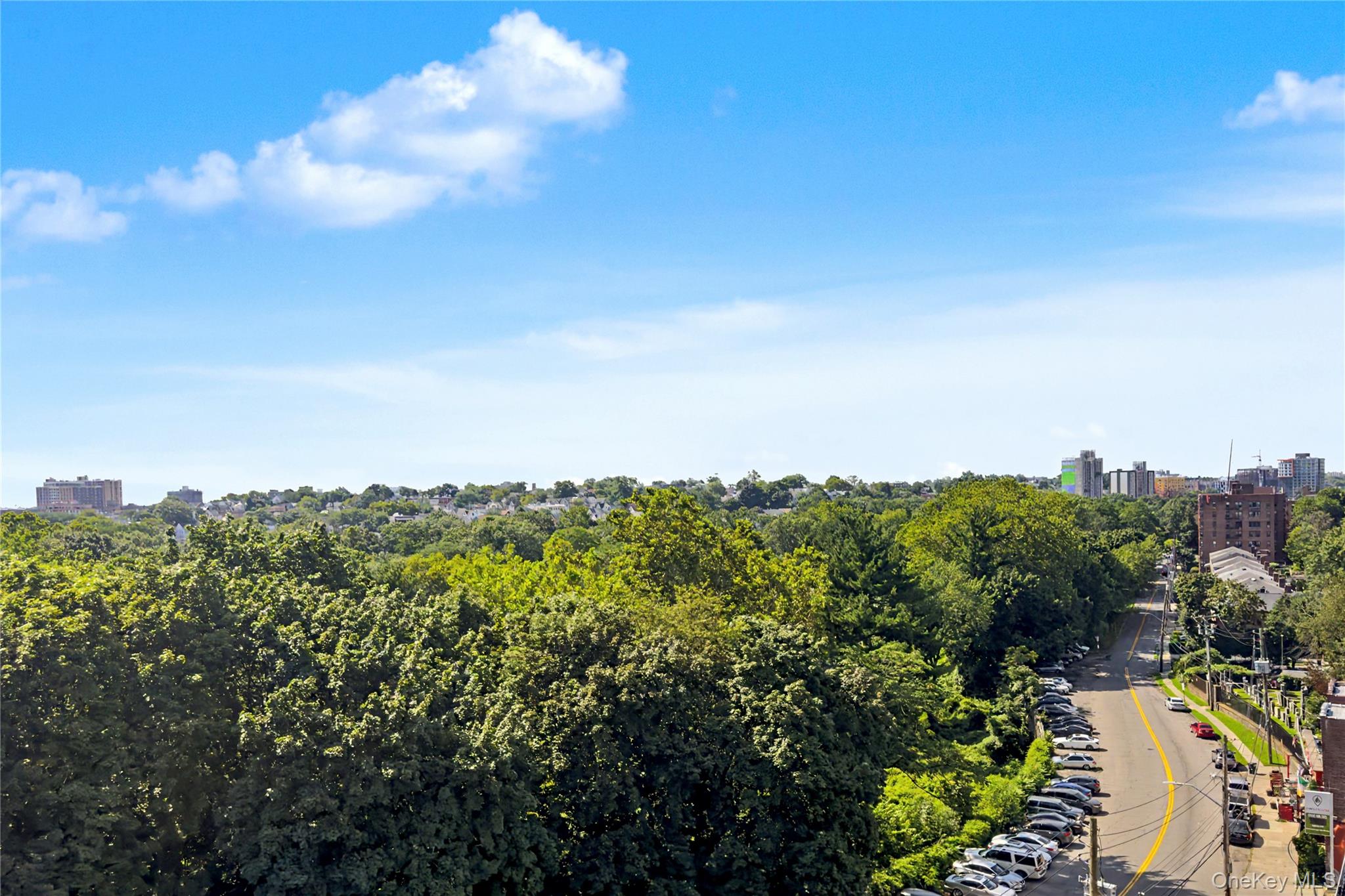 671 Bronx River Road 6k Property Photo 19