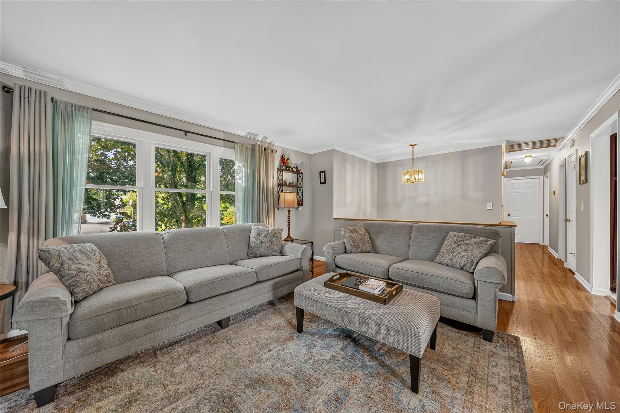 8 Comfort Road Property Photo 7