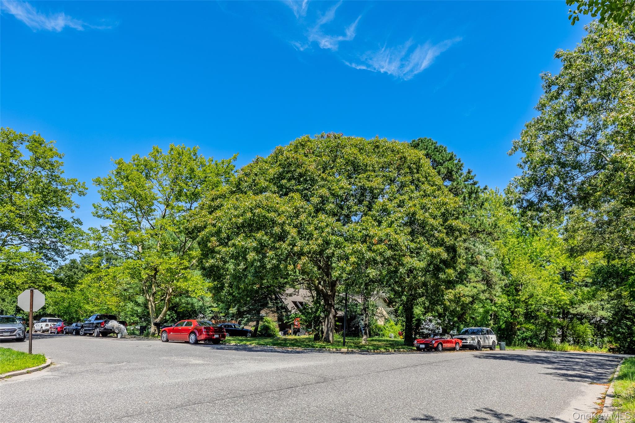 3 Gaton Lane Property Photo 4