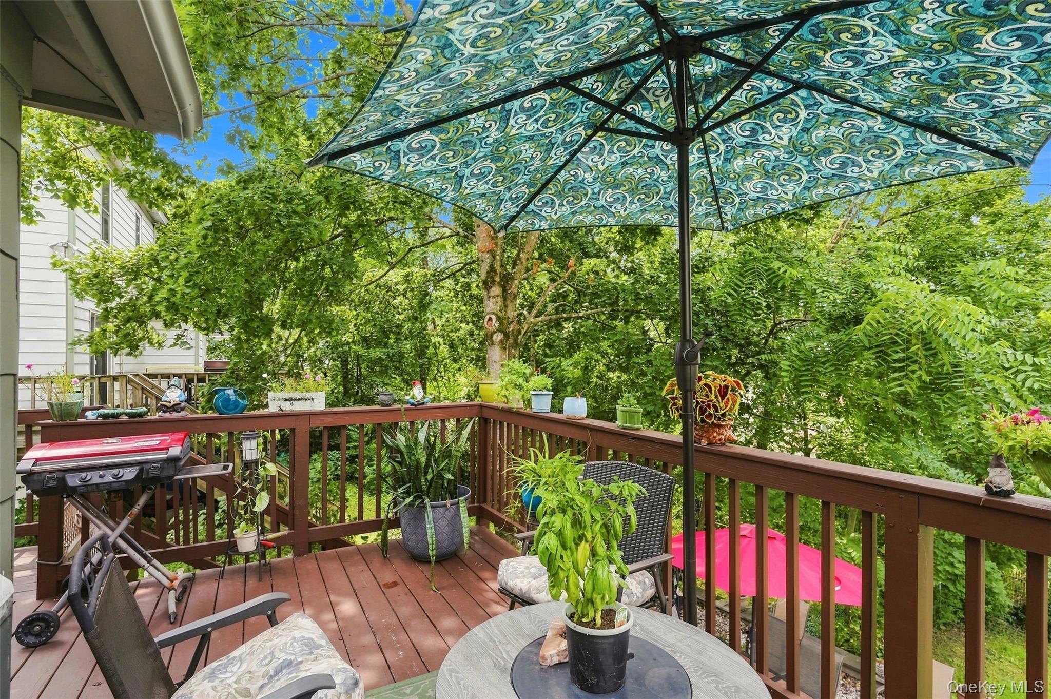 49 Gladstone Avenue Property Photo 35
