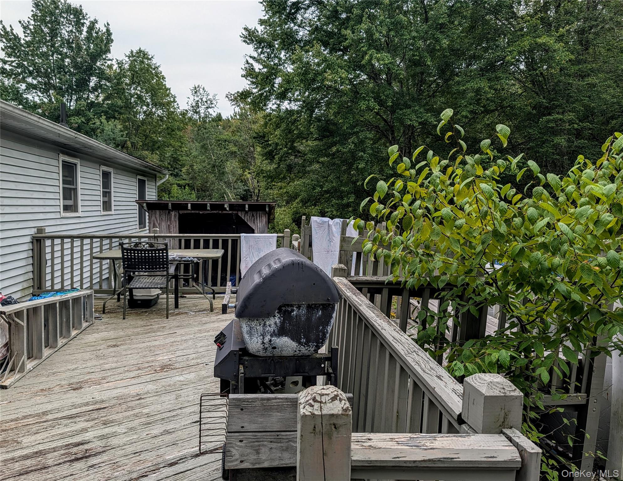 77 Murphy Road Property Photo 21