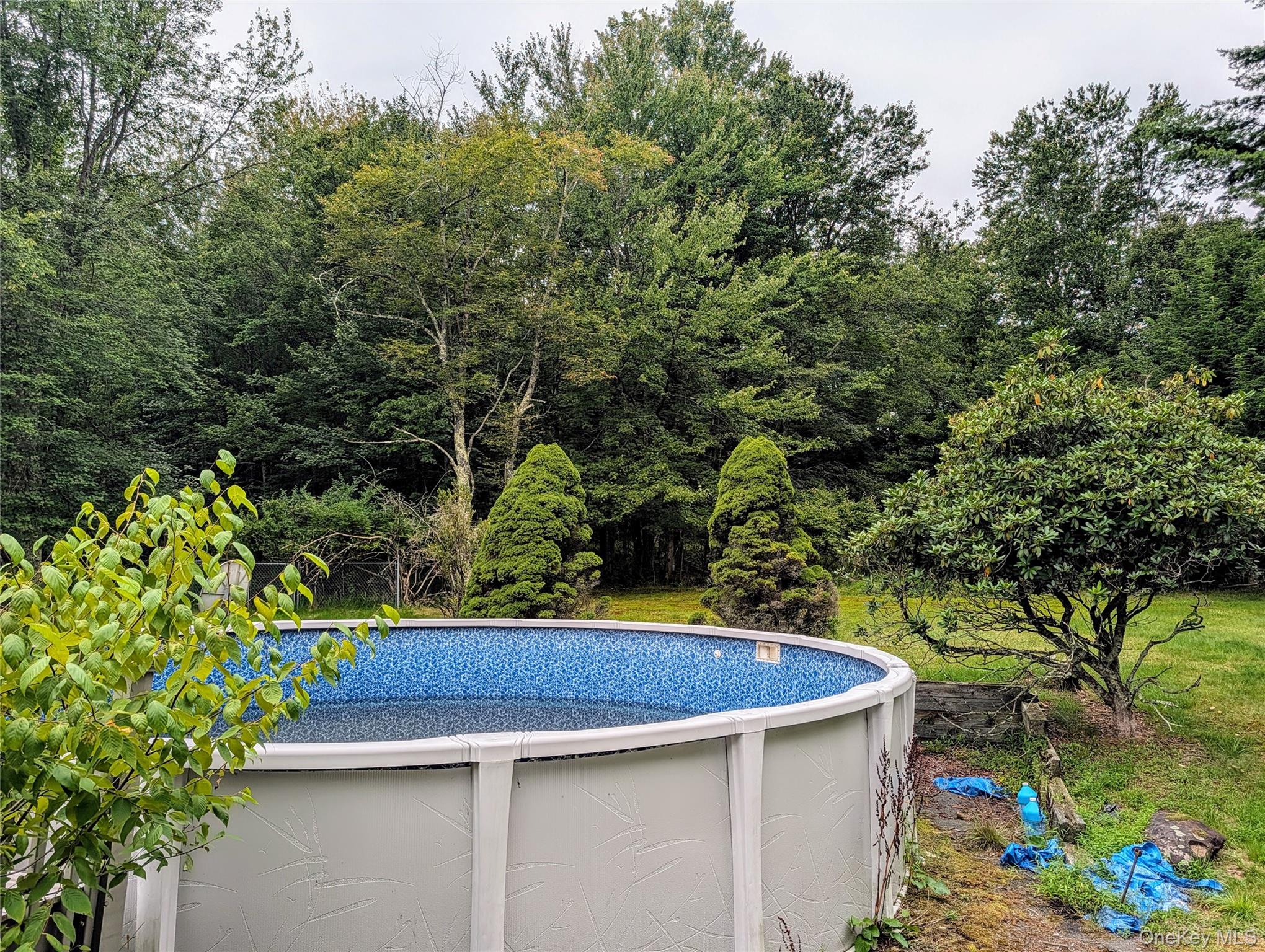 77 Murphy Road Property Photo 22